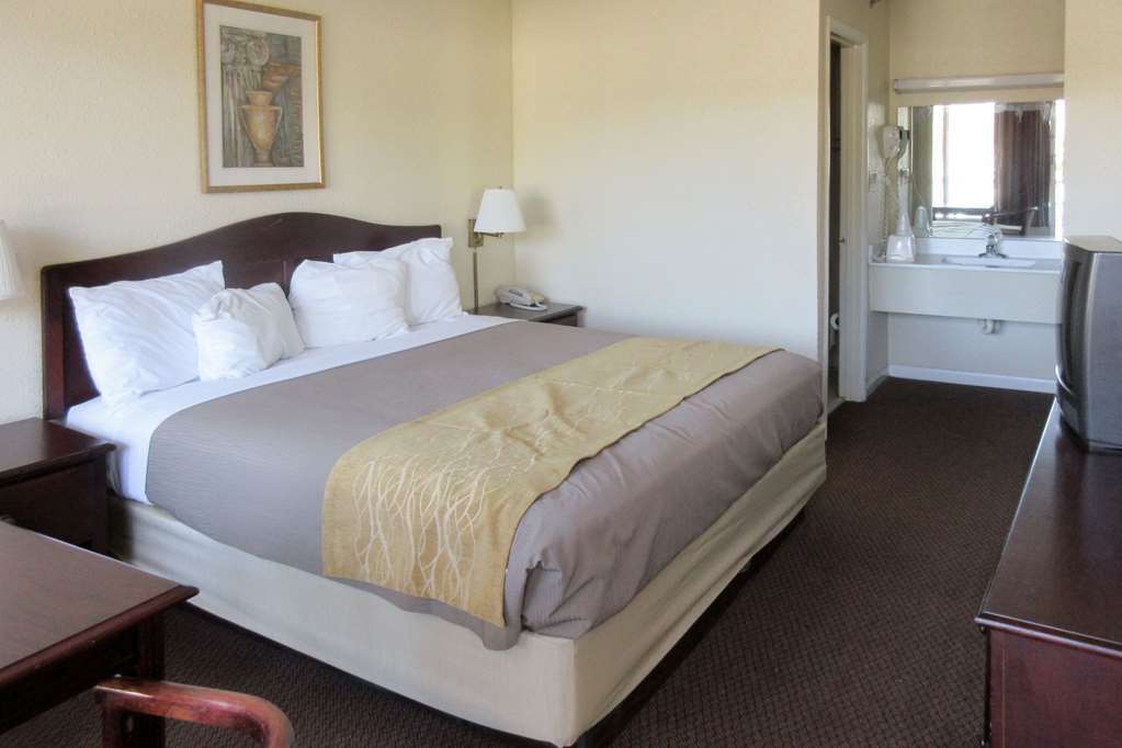 Quality Inn & Suites Pawleys Island Kamer foto